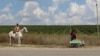 Dinu Todos: „Guvernarea s-a schimbat, dar schemele din agricultură au rămas”