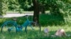 Image result for Лукашэнкі