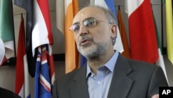 علی‌اکبر صالحی، وزیر امور خارجه ایران