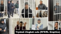 Жапырт кармалган саясатчылардын, укук коргоочулардын жана активисттердин бир бөлүгү.
