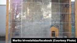 მაკაკებისთვის განკუთვნილი ვოლიერი ჭიათურაში