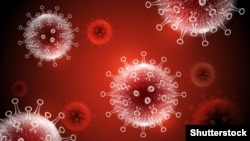 ILLUSTRATION -- GENERIC -- Coronavirus disease COVID-19 infection medical illustration. 