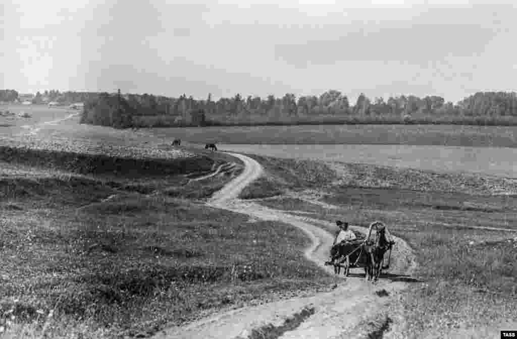 Një rrugë në Yasnaya Polyana, vendlindjen e Tolstoyt. Fotografi e bërë më 1909. 