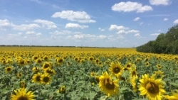 R. Moldova - o bijuterie încă nedescoperită de turiștii străini
