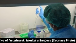 Imagine generică
