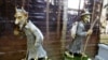Image result for Варанец