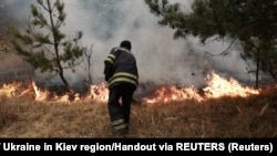 Пожежник гасить вогонь всередині 30-кілометрової зони довкола Чорнобильської АЕС, квітень 2020 року