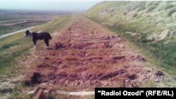 Қитъаи тахрибшудаи роҳи оҳан тавассути Узбакистон. 