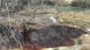 Езерца со црвена и жолта боја создадени од токсичните води од депонијата на фабриката Југохром во Јегуновце. 