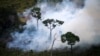 Amazonia arde, Europa cere măsuri