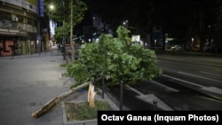 Furtuna din București a dărâmat mai mulți copaci și a lăsat în urmă avarii. Mai mulți oameni au sesizat că nu au primit semnalul de alertă decât după ce furtuna începuse deja. 