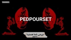 ست الکترونیک پدپور