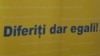 Dreptul la vot inaccesibil pentru mulți alegători cu nevoi speciale