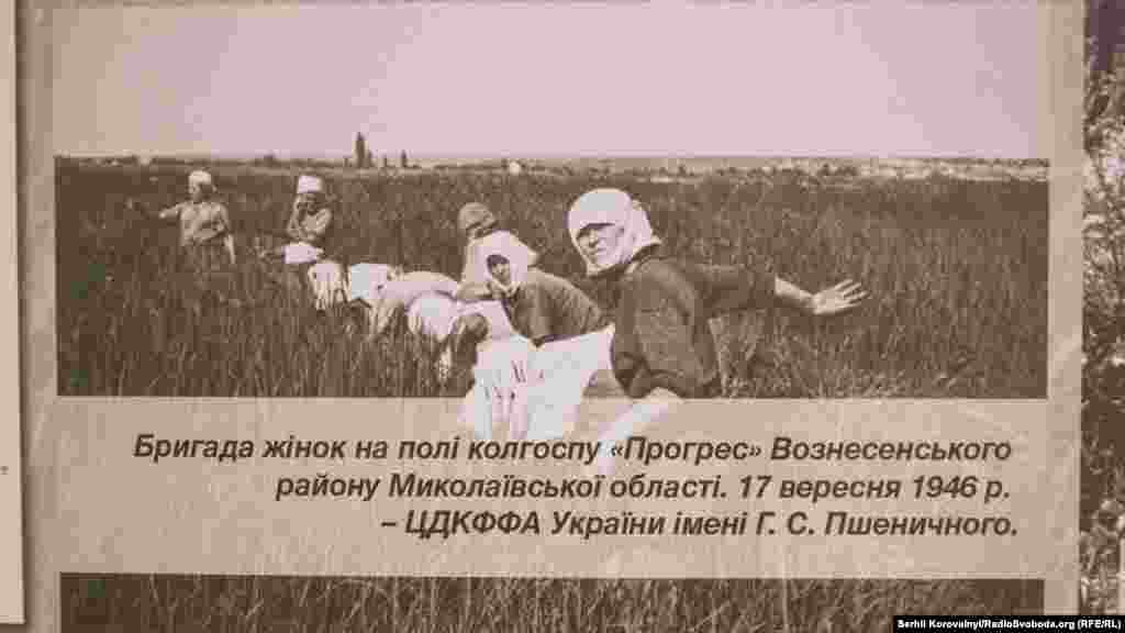 Бригада жінок на полі колгоспу «Прогрес» Вознесенського району Миколаївської області
