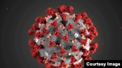 HEALTH-CORONAVIRUS/USA
