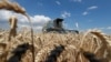 Producția agricolă a României la cereale a crescut de patru ori de la aderarea la UE (2007) și până în prezent.