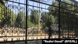 Снимок строителей, сделанный Афсоной утром 6 августа