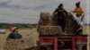 Belarus — Winner of WPP, Long-Term Projects
Te Urewera – The Living Ancestor of Tūhoe People