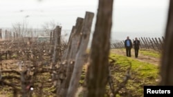 Vinăria Tomai, din apropiere de Comrat, 27 martie 2014