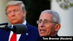 Dr. Anthony Fauci, directorul echipei de experți medicali ai Casei Albe la o conferință de presă alături de președintele Donald Trump , Washington.