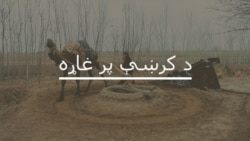 پي، ټي، ايم: که د پاکستان رياست مو غوښتنې نه مني، نړيوالو ادارو ته شکايت کوو