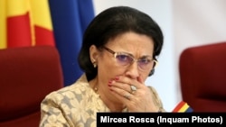 Ecaterina Andronescu., Minister of Education